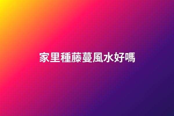 家里種藤蔓風水好嗎