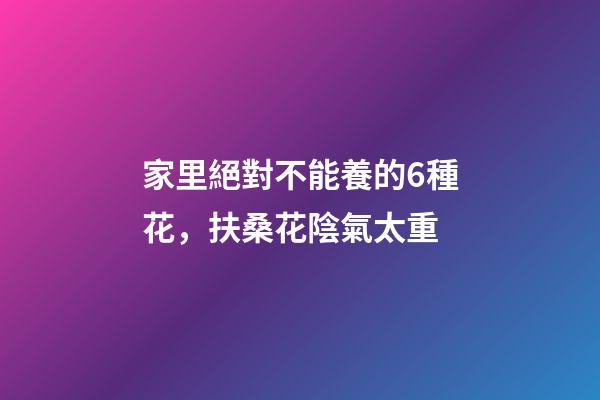 家里絕對不能養的6種花，扶桑花陰氣太重