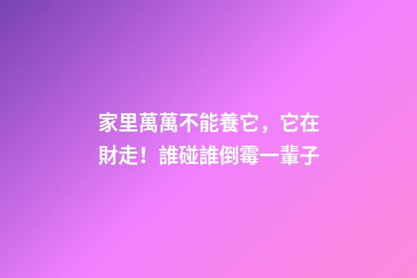 家里萬萬不能養它，它在財走！誰碰誰倒霉一輩子