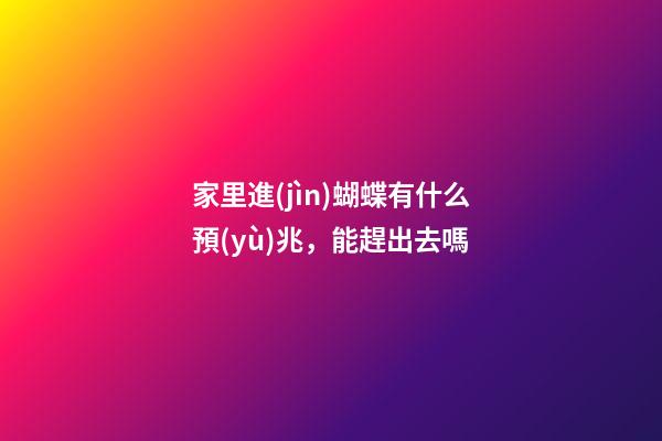 家里進(jìn)蝴蝶有什么預(yù)兆，能趕出去嗎