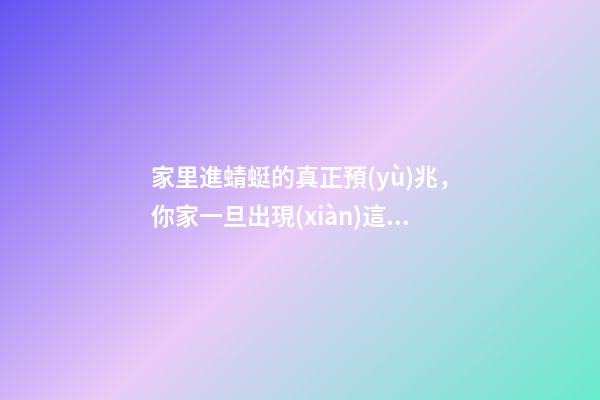 家里進蜻蜓的真正預(yù)兆，你家一旦出現(xiàn)這3種現(xiàn)象-第1張-觀點-玄機派