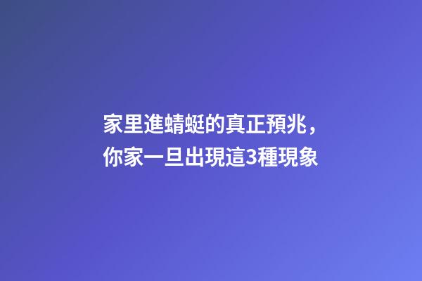 家里進蜻蜓的真正預兆，你家一旦出現這3種現象-第1張-觀點-玄機派