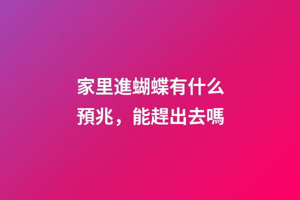 家里進蝴蝶有什么預兆，能趕出去嗎