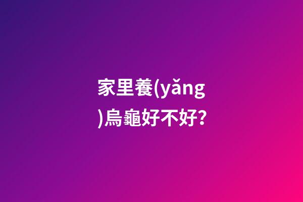 家里養(yǎng)烏龜好不好？