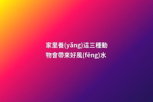 家里養(yǎng)這三種動物會帶來好風(fēng)水