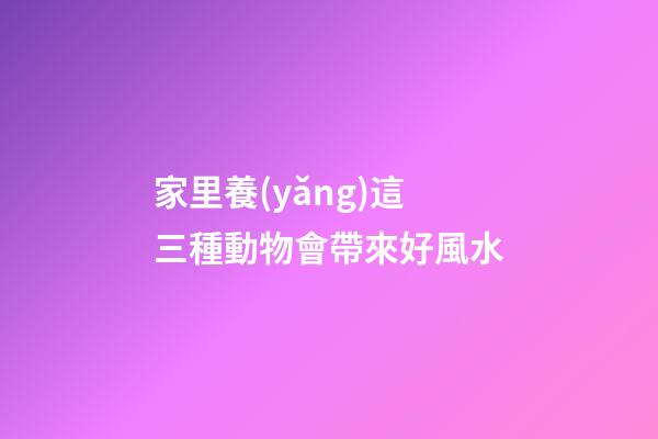 家里養(yǎng)這三種動物會帶來好風水