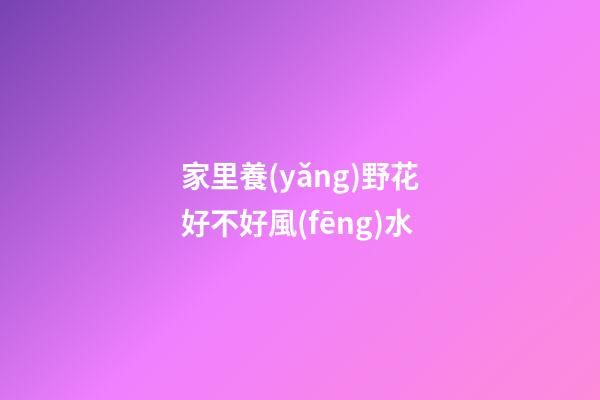 家里養(yǎng)野花好不好風(fēng)水