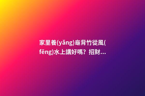 家里養(yǎng)龜背竹從風(fēng)水上講好嗎？招財活力