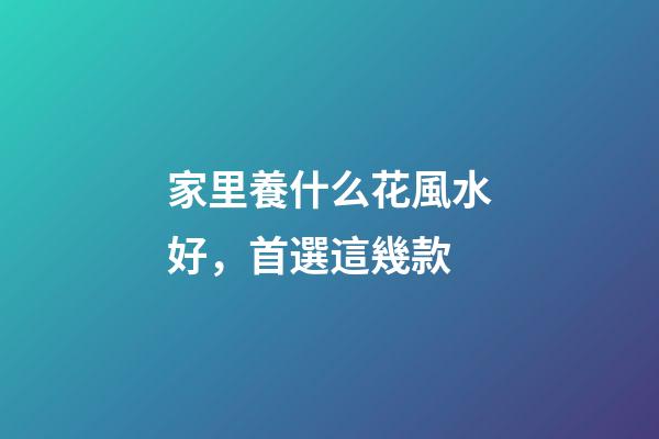 家里養什么花風水好，首選這幾款