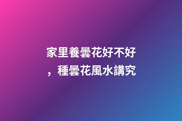 家里養曇花好不好，種曇花風水講究