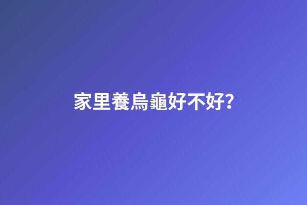 家里養烏龜好不好？