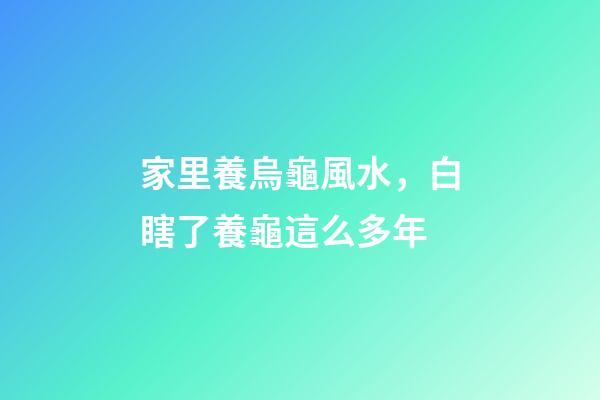家里養烏龜風水，白瞎了養龜這么多年-第1張-觀點-玄機派