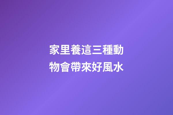 家里養這三種動物會帶來好風水