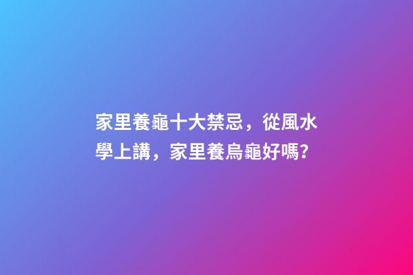 家里養龜十大禁忌，從風水學上講，家里養烏龜好嗎？