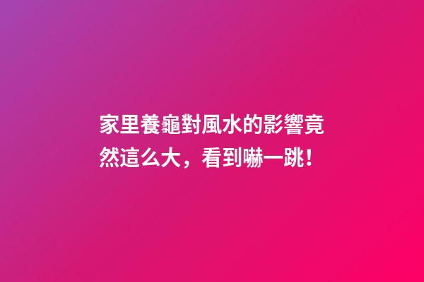 家里養龜對風水的影響竟然這么大，看到嚇一跳！