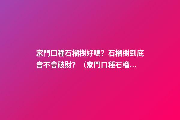 家門口種石榴樹好嗎？石榴樹到底會不會破財？（家門口種石榴樹好不好）