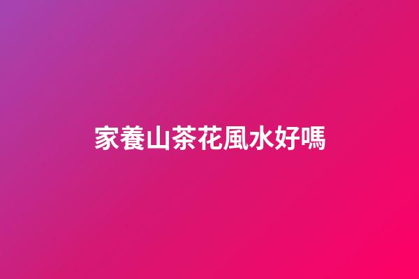 家養山茶花風水好嗎