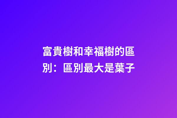 富貴樹和幸福樹的區別：區別最大是葉子