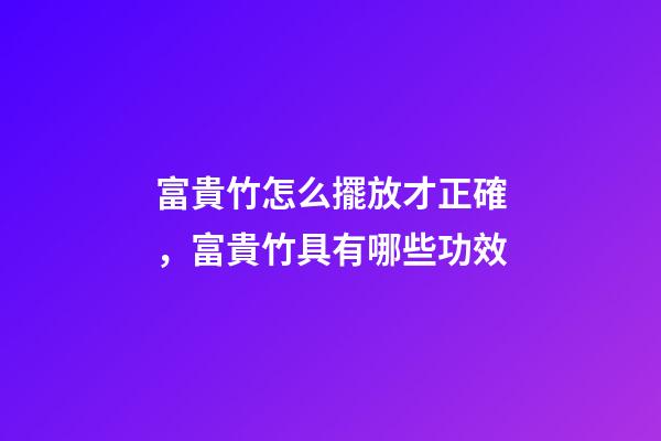 富貴竹怎么擺放才正確，富貴竹具有哪些功效