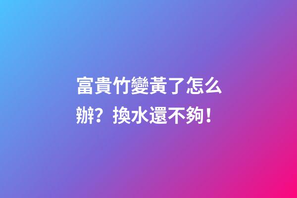 富貴竹變黃了怎么辦？換水還不夠！