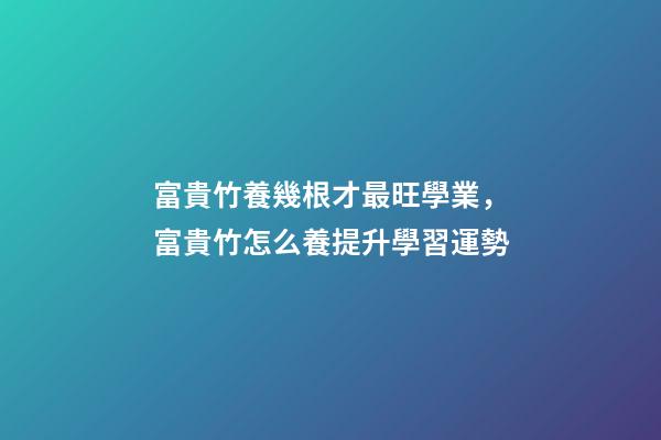 富貴竹養幾根才最旺學業，富貴竹怎么養提升學習運勢