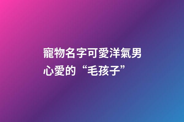 寵物名字可愛洋氣男心愛的“毛孩子”