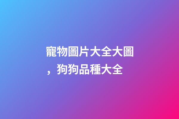 寵物圖片大全大圖，狗狗品種大全(帶圖片)-第1張-觀點(diǎn)-玄機(jī)派