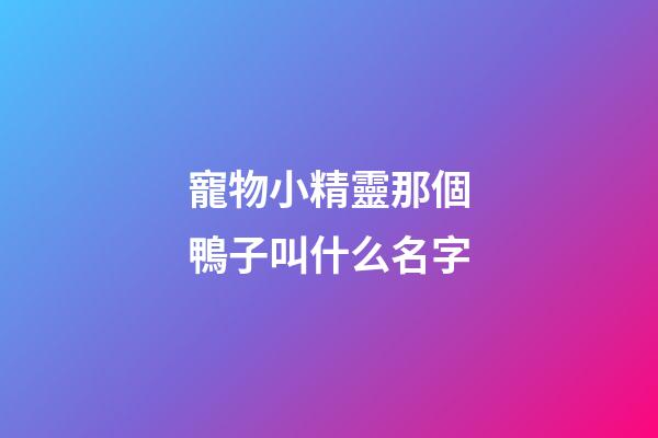 寵物小精靈那個鴨子叫什么名字