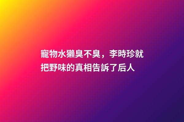 寵物水獺臭不臭，李時珍就把野味的真相告訴了后人-第1張-觀點-玄機派