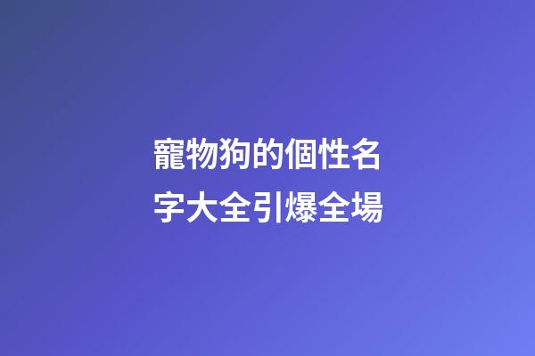 寵物狗的個性名字大全引爆全場