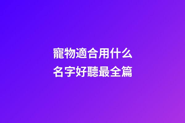寵物適合用什么名字好聽最全篇