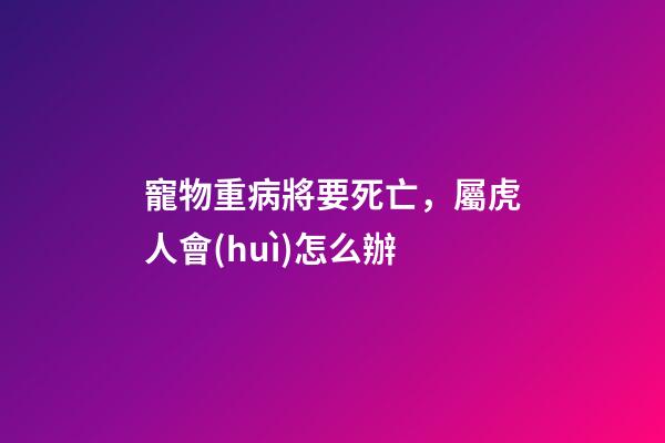 寵物重病將要死亡，屬虎人會(huì)怎么辦