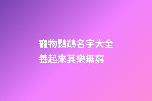 寵物鸚鵡名字大全養起來其樂無窮