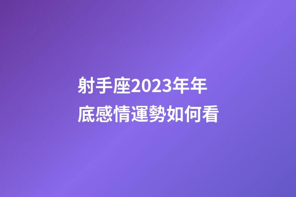 射手座2023年年底感情運勢如何看-第1張-星座運勢-玄機派