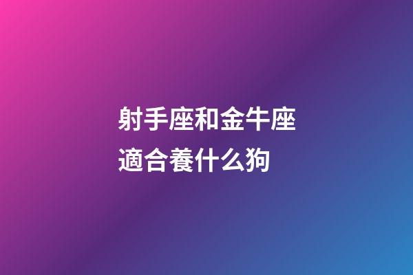 射手座和金牛座適合養什么狗-第1張-星座運勢-玄機派
