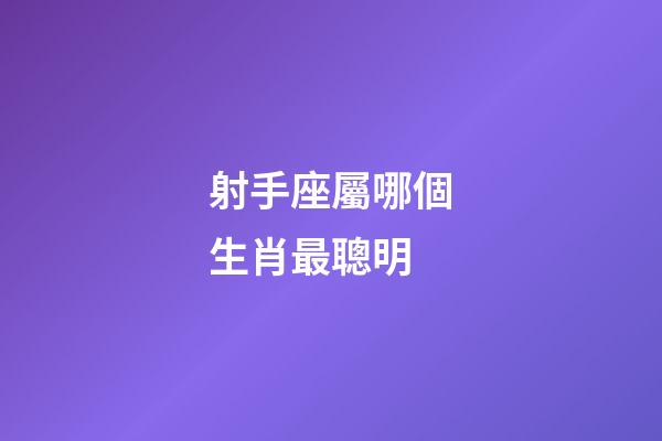 射手座屬哪個生肖最聰明-第1張-星座運勢-玄機派