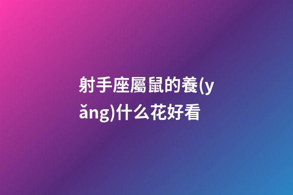 射手座屬鼠的養(yǎng)什么花好看-第1張-星座運勢-玄機派