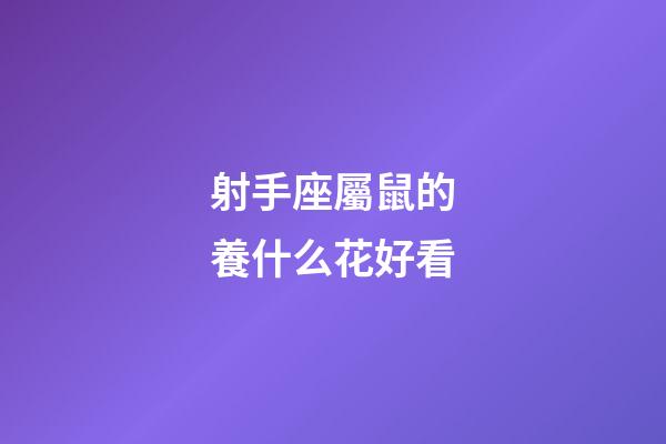 射手座屬鼠的養什么花好看