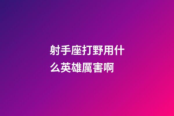 射手座打野用什么英雄厲害啊-第1張-星座運勢-玄機派