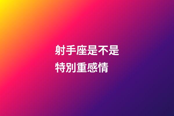 射手座是不是特別重感情-第1張-星座運勢-玄機(jī)派