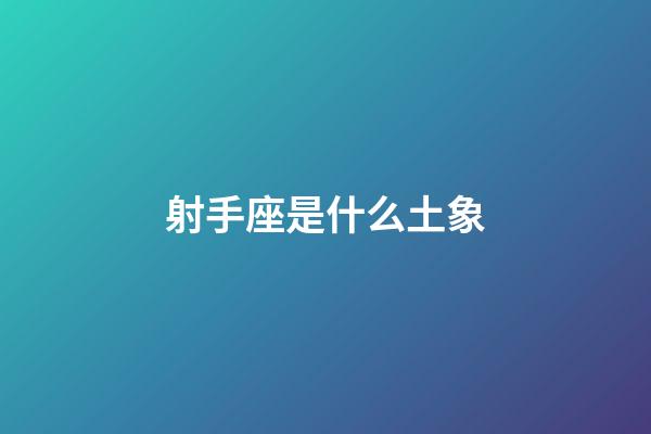 射手座是什么土象-第1張-星座運勢-玄機派