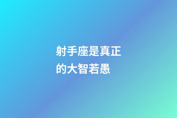 射手座是真正的大智若愚-第1張-星座運勢-玄機派