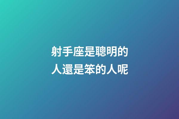 射手座是聰明的人還是笨的人呢-第1張-星座運(yùn)勢(shì)-玄機(jī)派