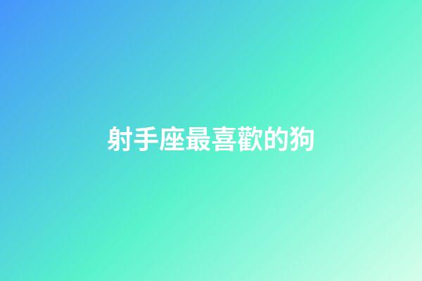 射手座最喜歡的狗-第1張-星座運(yùn)勢(shì)-玄機(jī)派