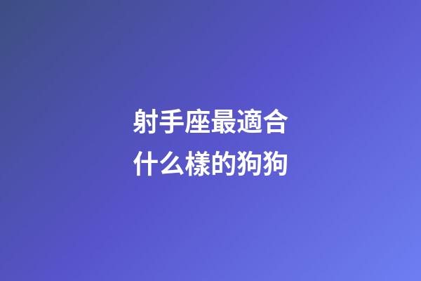 射手座最適合什么樣的狗狗-第1張-星座運(yùn)勢-玄機(jī)派