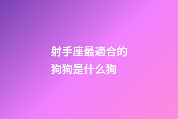 射手座最適合的狗狗是什么狗-第1張-星座運勢-玄機派
