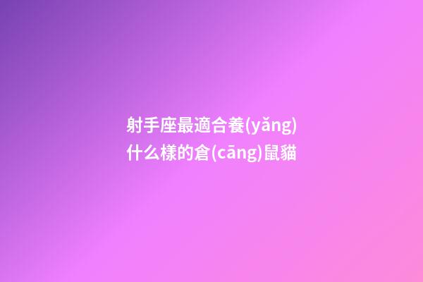射手座最適合養(yǎng)什么樣的倉(cāng)鼠貓