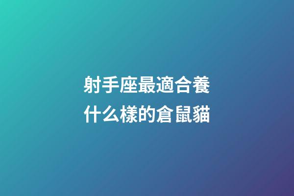 射手座最適合養什么樣的倉鼠貓-第1張-星座運勢-玄機派