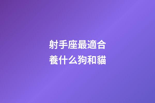 射手座最適合養什么狗和貓-第1張-星座運勢-玄機派