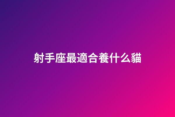 射手座最適合養什么貓-第1張-星座運勢-玄機派
